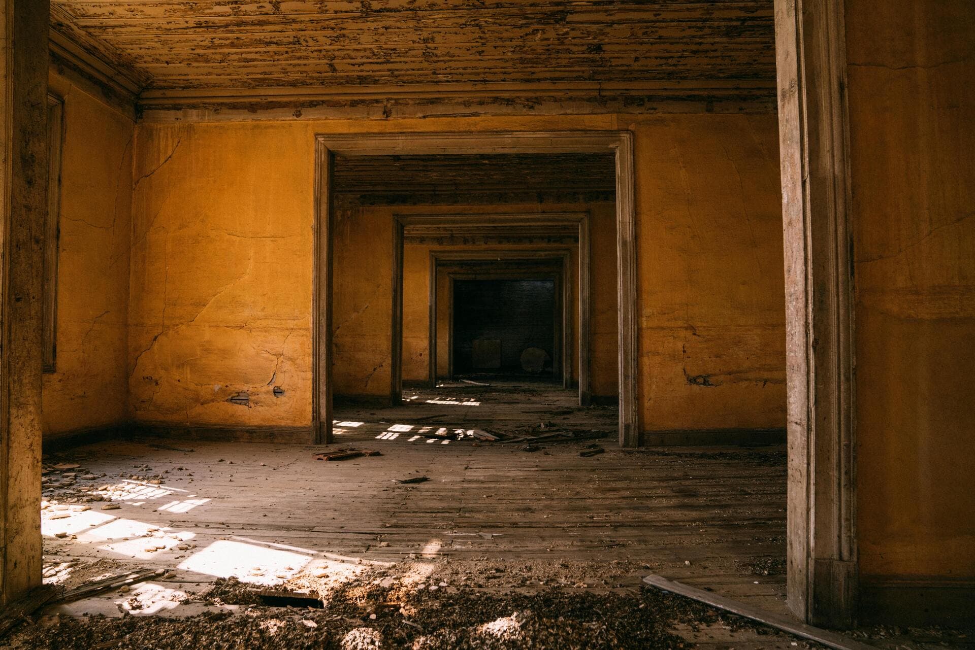 A Survival Guide to Build Healthy Tech Organizations